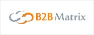 B2B Matrix