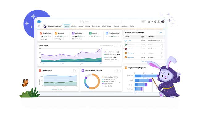 Sales Cloud Migration