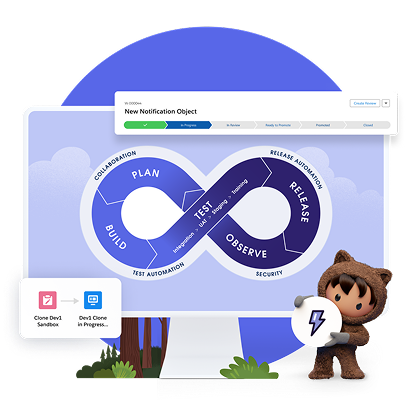 Salesforce Communities Development And Implementation